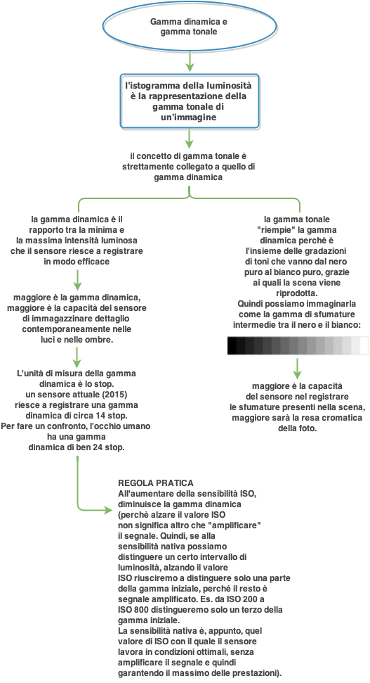 gamma dinamica e gamma tonale