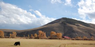 Esporre a destra esporre a destra