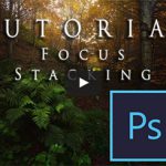 focus-stacking-tutorial