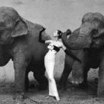 richard-avedon-dovima-with-elephants